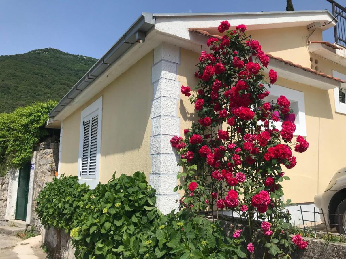 Etno Village Mihailovic แฮร์เซ็ก-โนวี ภายนอก รูปภาพ