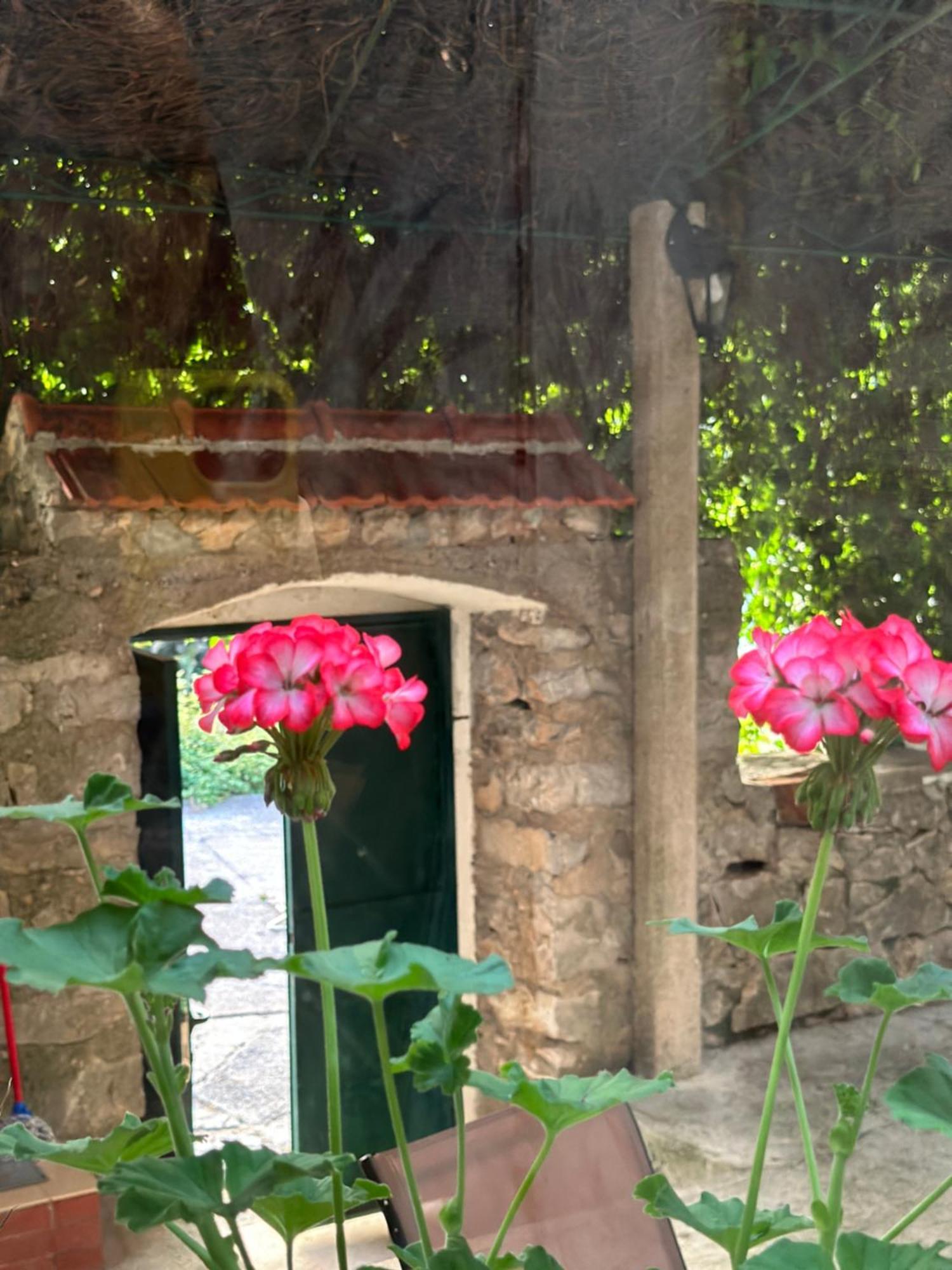 Etno Village Mihailovic แฮร์เซ็ก-โนวี ภายนอก รูปภาพ